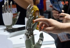 我国范畴亮点频出、丰盛