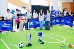 正在满怀胡想的少年手